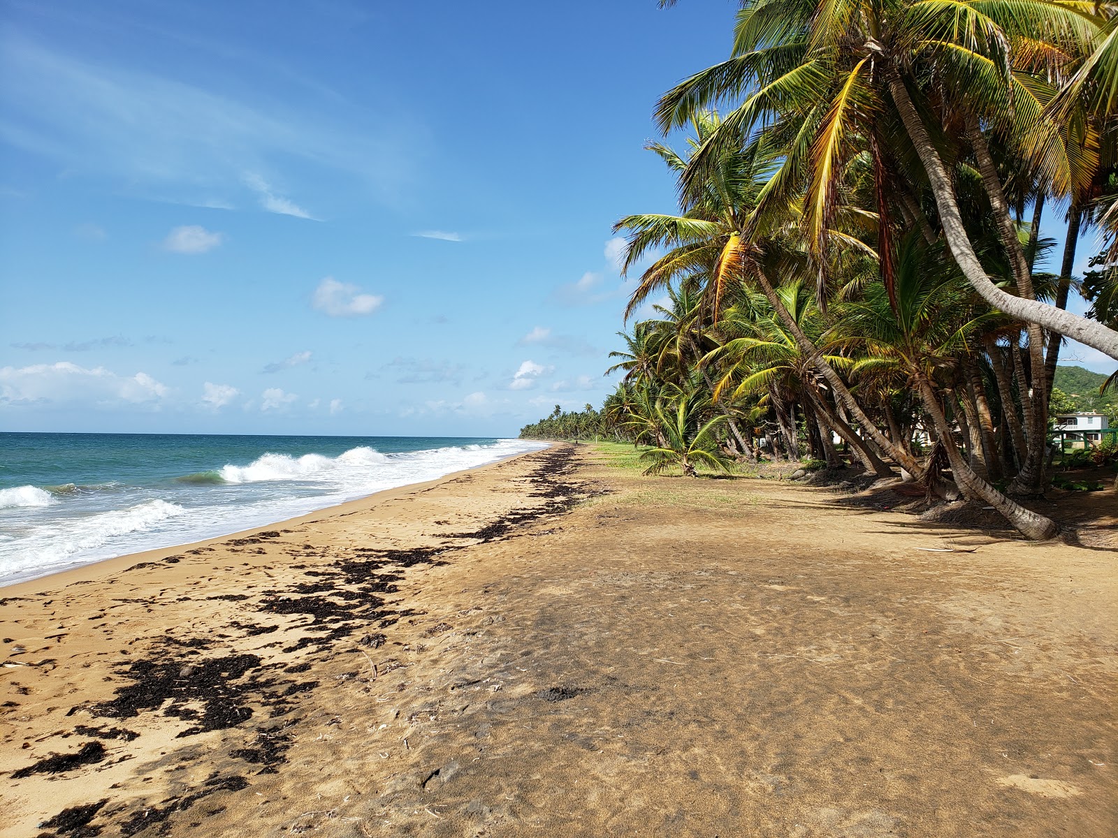 Playa Emajaguas 🏖️ Maunabo, Puerto Rico - gedetailleerde kenmerken, kaart,  foto's, image size:1600x1200