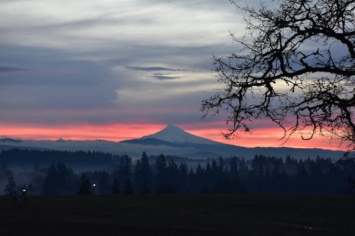 Coffee Shop «Black Rock Coffee Bar», reviews and photos, 13309 NE 20th Ave, Vancouver, WA 98686, USA