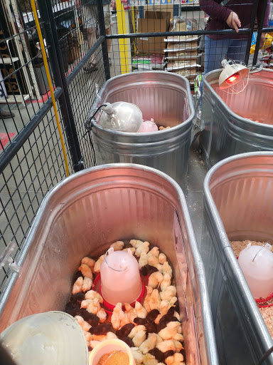 Home Improvement Store «Tractor Supply Co.», reviews and photos, 418 Napa Junction Rd, American Canyon, CA 94503, USA