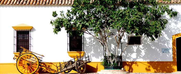 Museo Arqueológico