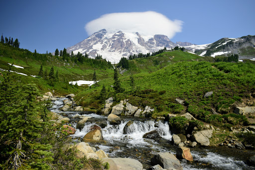 Parque Nacional del Monte Rainier