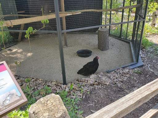 Learning Center «Trailside Museum of Natural History», reviews and photos, 738 Thatcher Ave, River Forest, IL 60305, USA