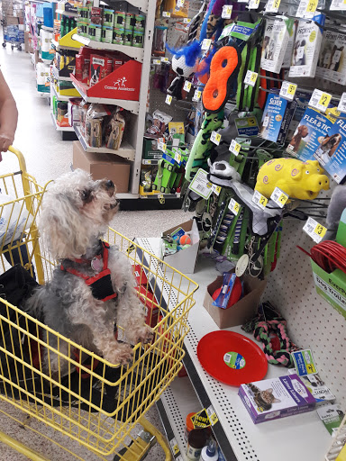 Discount Store «Dollar General», reviews and photos, 1620 E Hallandale Beach Blvd, Hallandale Beach, FL 33009, USA