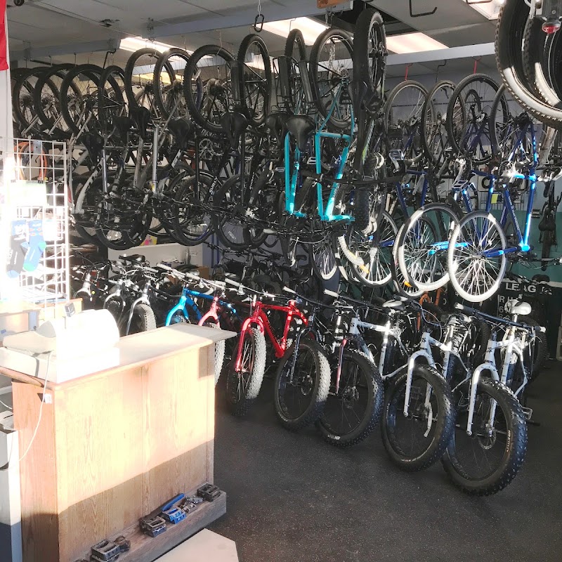 Downtown Bicycle Rental, Sales & Repair