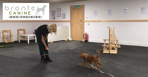 Bronte Canine Dog Training Centre
