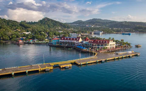 Roatan Cruise Excursions - Island Marketing Ltd image