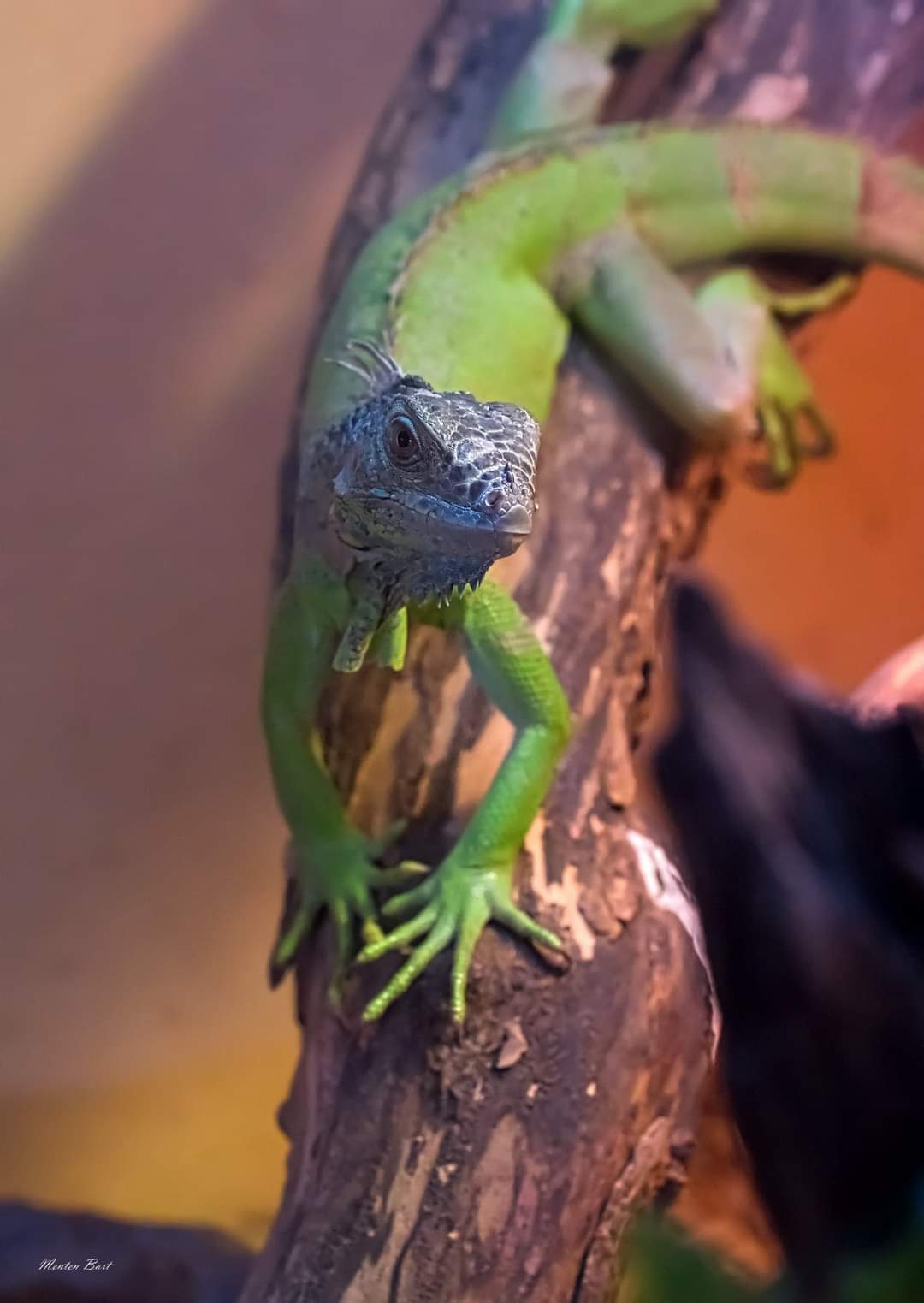 Photo n° 2 de l'avis de Bart.e fait le 19/08/2021 à 19:17