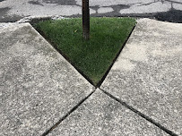 Gray’s Lawn Care & Landscaping LLC - Photo 9 - Car repair in , Buffalo