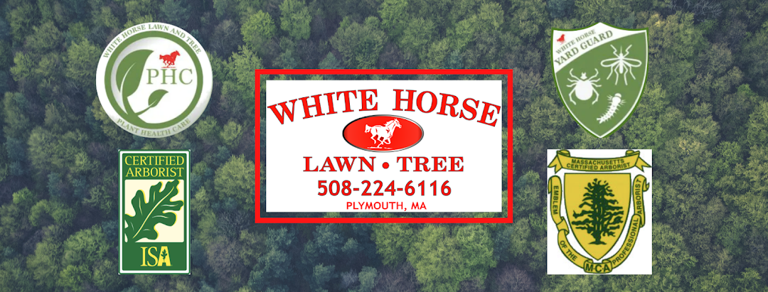 White Horse Lawn & Tree