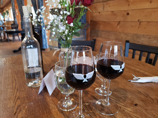 Vineyard «Naked Mountain Winery & Vineyards», reviews and photos, 2747 Leeds Manor Rd, Markham, VA 22643, USA