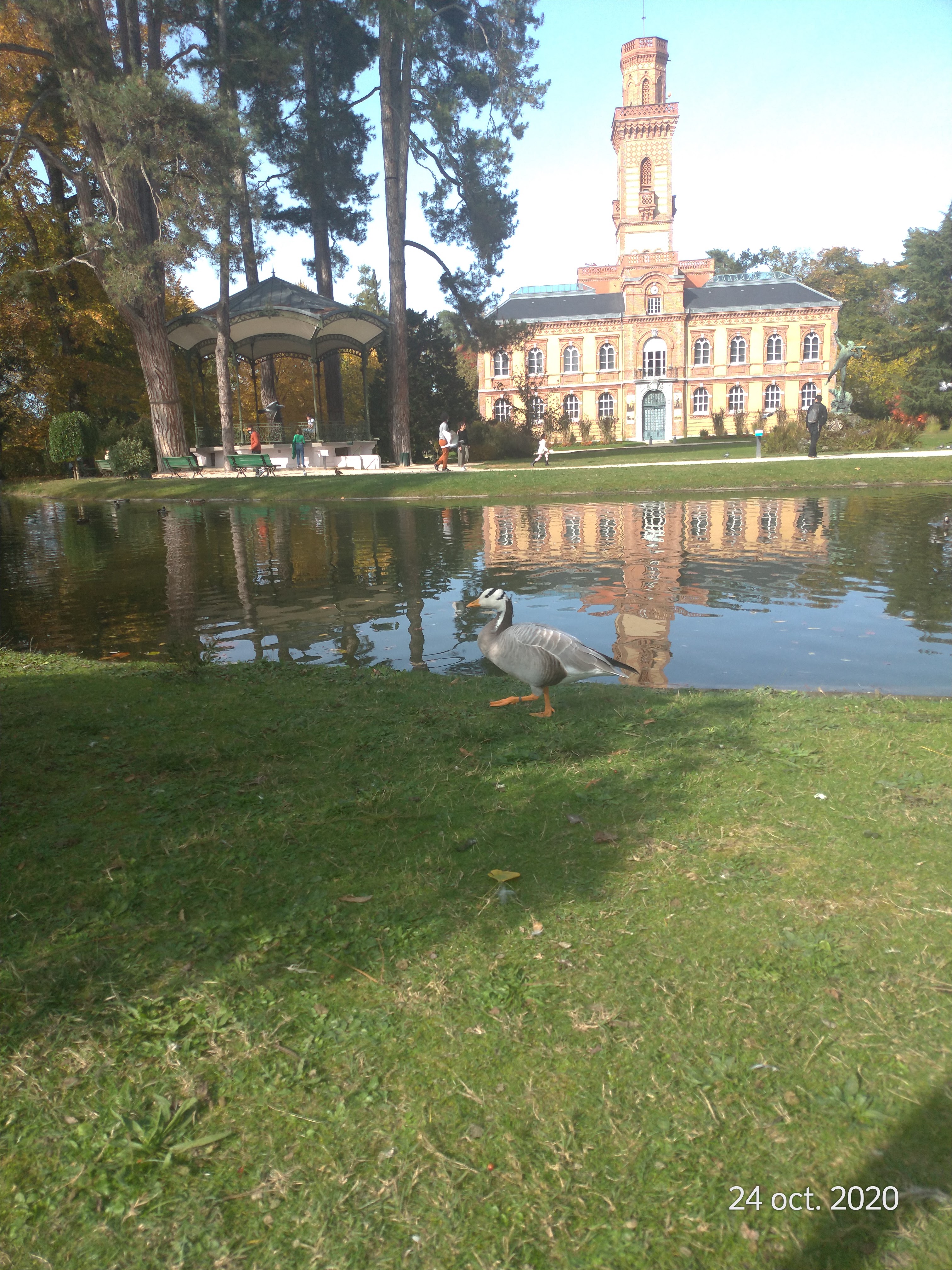 Photo n° 10 de l'avis de G'ral-dine.a fait le 26/10/2020 à 06:40