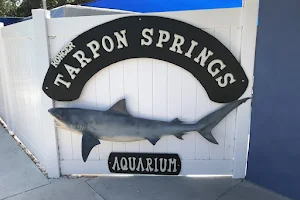 Tarpon Springs Aquarium and Animal Sanctuary image
