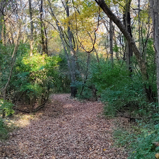 Olentangy Nature Trail