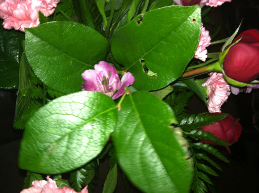 Florist «Flower Center», reviews and photos, 5659 Alpha Rd, Dallas, TX 75240, USA