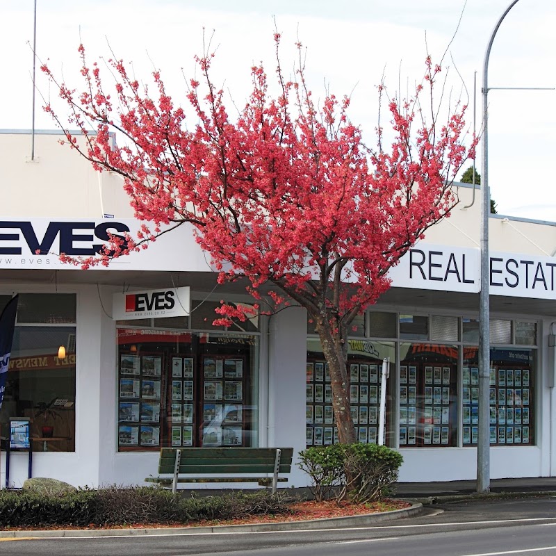 EVES Real Estate Katikati