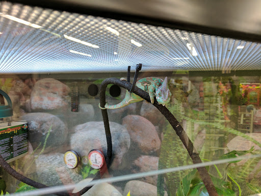 Pet Supply Store «Petco Animal Supplies», reviews and photos, 13127 N Dale Mabry Hwy, Tampa, FL 33618, USA