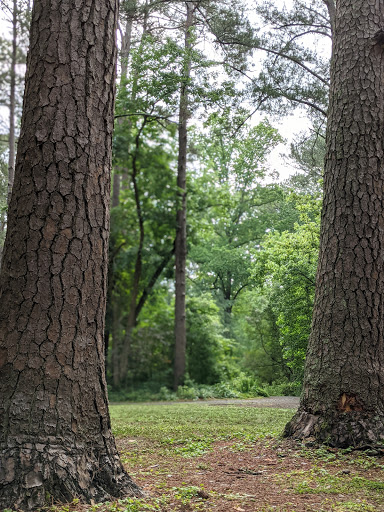 Park «Little Nancy Creek Park», reviews and photos, 4012 Peachtree Dunwoody Rd, Atlanta, GA 30342, USA