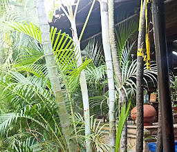 Mariscos el Parral photo