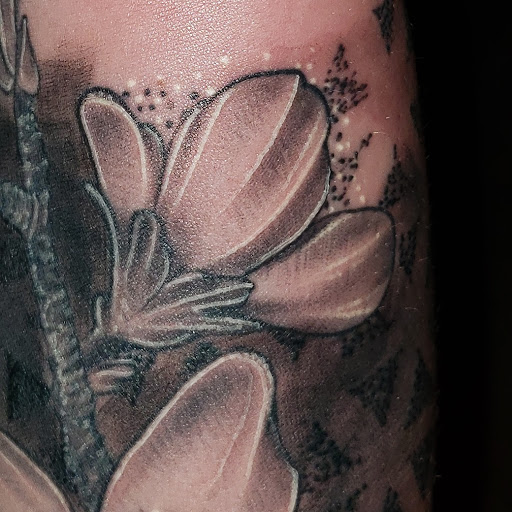 Explore sloth tattoo ideas, creative tattoo ideas in Sioux City, available at Thorn-Side Tattoo & Piercing