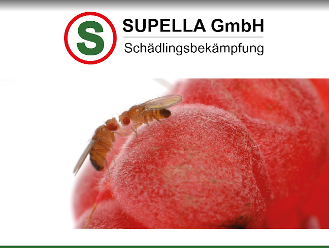Kommentare und Rezensionen über Supella GmbH