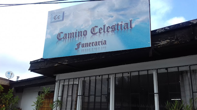 FUNERARIA CAMINO CELESTIAL - Funeraria