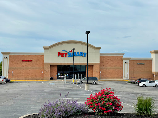 PetSmart, 1157 E North Ave, Belton, MO 64012, USA, 