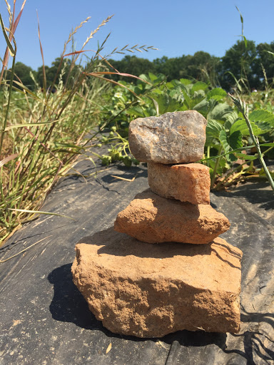 Farm «Warbington Farms (U-Pick Strawberries)», reviews and photos, 5555 Crow Rd, Cumming, GA 30041, USA