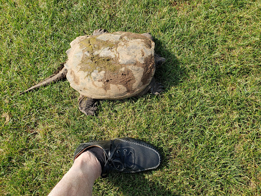 Golf Club «Briarwood Golf Club», reviews and photos, 4775 West Market Street, York, PA 17408, USA