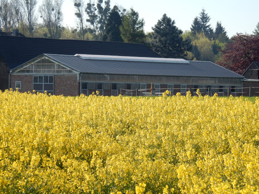 Gut Klein-Winkelhausen