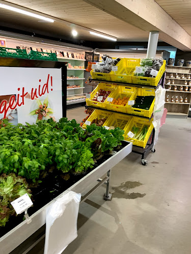 Bösiger Gemüsekulturen AG - Supermarkt