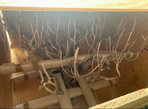 Moving and Storage Service «Nationwide Van Lines», reviews and photos, 1421 NW 65th Ave, Fort Lauderdale, FL 33313, USA