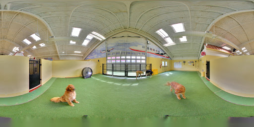 All American Pet Resorts Fort Myers