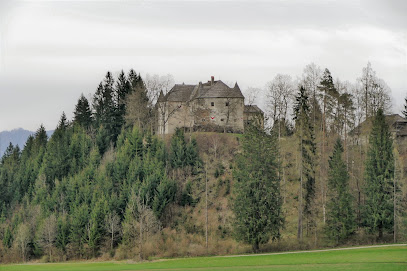 Schloss Hohenstein in Kärnten