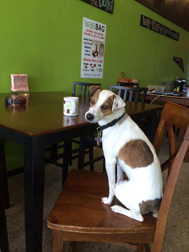 Pet Supply Store «Pet Supplies Plus», reviews and photos, 1704 Greenville Ave, Dallas, TX 75206, USA