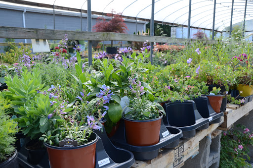Garden Center «Schott Gardens», reviews and photos, 2209 Nashville Rd, Bowling Green, KY 42101, USA