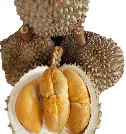 durian616