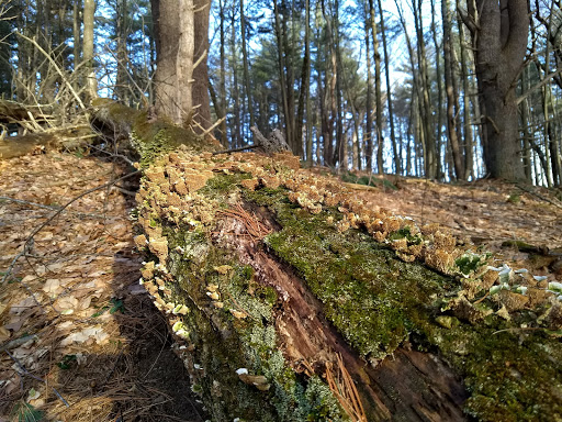 Golf Club «Crystal Lake Golf Club», reviews and photos, 940 N Broadway, Haverhill, MA 01832, USA