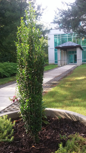 Performing Arts Theater «Little Theatre-Virginia Beach», reviews and photos, 550 Barberton Dr, Virginia Beach, VA 23451, USA