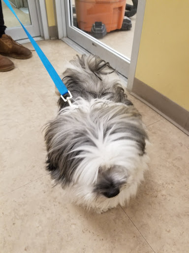 Pet Supply Store «Petco Animal Supplies», reviews and photos, 86 Storrs Rd, Mansfield Center, CT 06250, USA