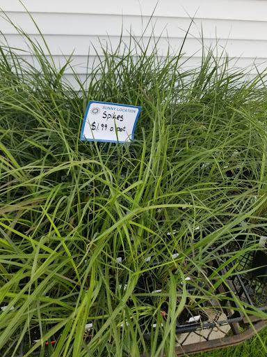 Florist «Lyndhurst Florist», reviews and photos, 5268 Mayfield Rd, Lyndhurst, OH 44124, USA