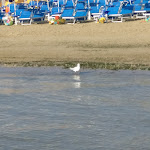 Photo n°3 de l'avis de Carmine.a fait le 15/08/2022 à 18:57 sur le  David Palace Hotel à Porto San Giorgio