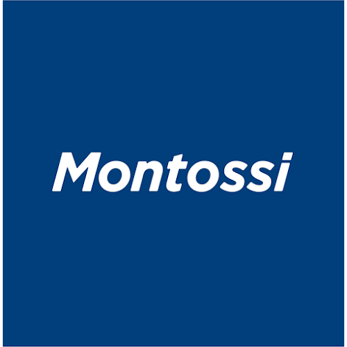 Opiniones de Montossi en Rocha - Concesionario de automóviles