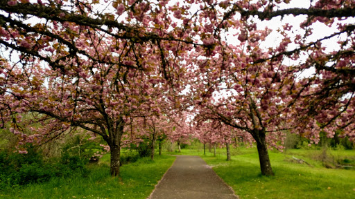 Park «Alton Baker Park», reviews and photos, 100 Day Island Rd, Eugene, OR 97401, USA