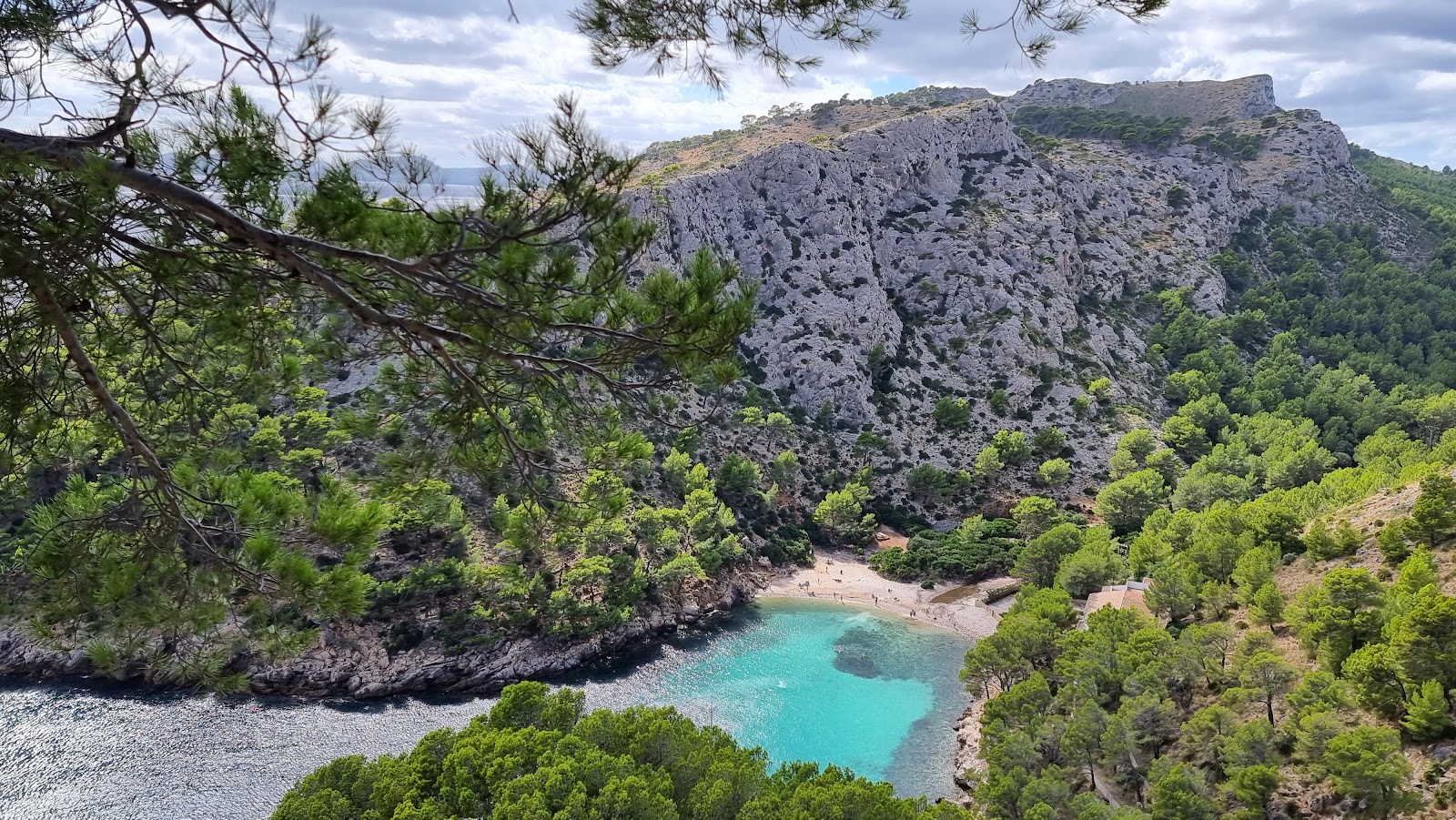 Photo of Cala Murta surrounded by mountains