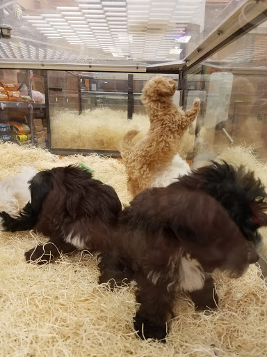 Pet Store «Just Pets», reviews and photos, 2154 E Commons Ave #327, Centennial, CO 80122, USA