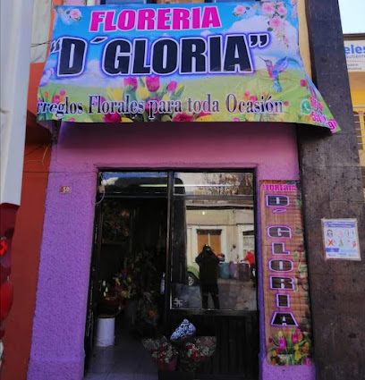 FLORERÍA D' GLORIA