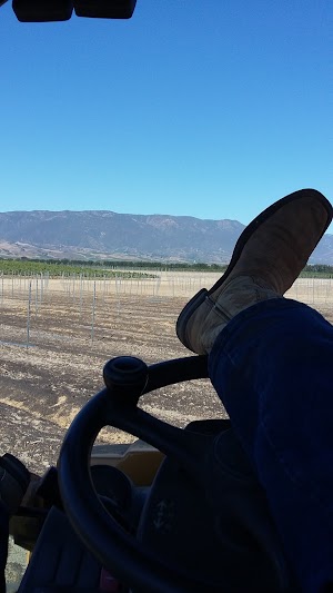 Los Coches Adobe - photo 10