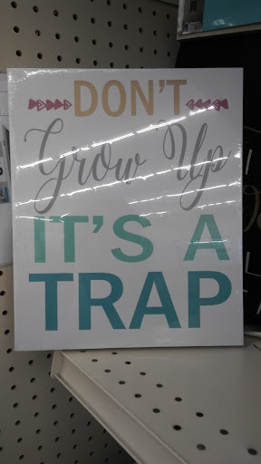 Discount Store «Big Lots», reviews and photos, 2932 Canton Rd #210, Marietta, GA 30066, USA