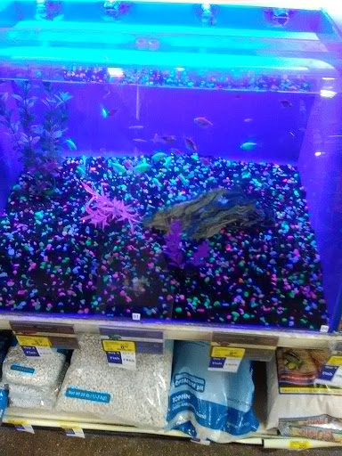 Pet Supply Store «PetSmart», reviews and photos, 1521 Golden Gate Plaza, Mayfield Heights, OH 44124, USA