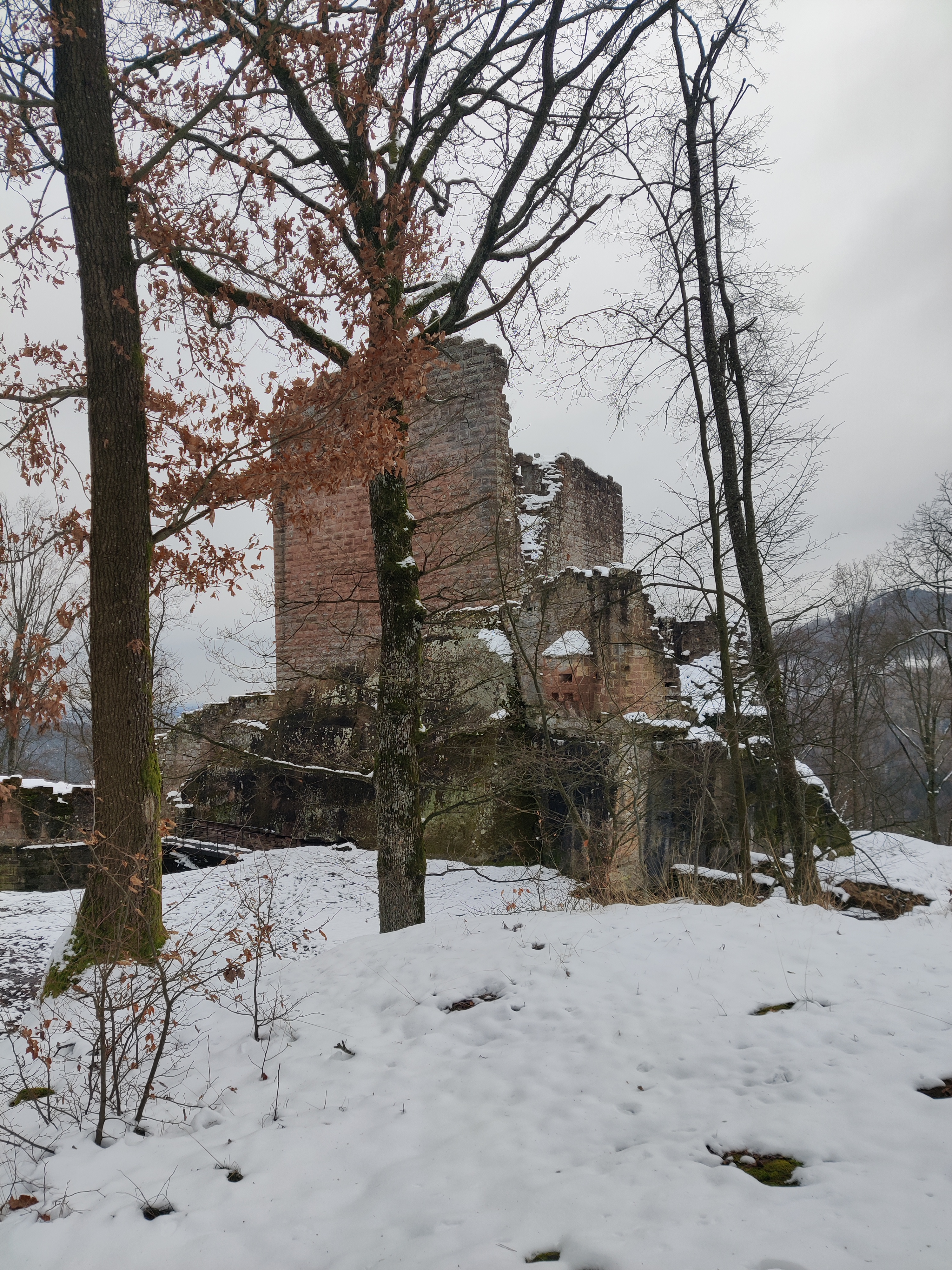 Photo n° 1 de l'avis de Pfalz.o fait le 24/01/2023 à 17:55